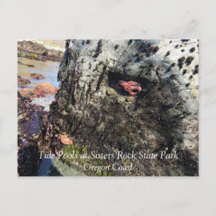 Sisters Rock State Park, Oregon Coast Postcard