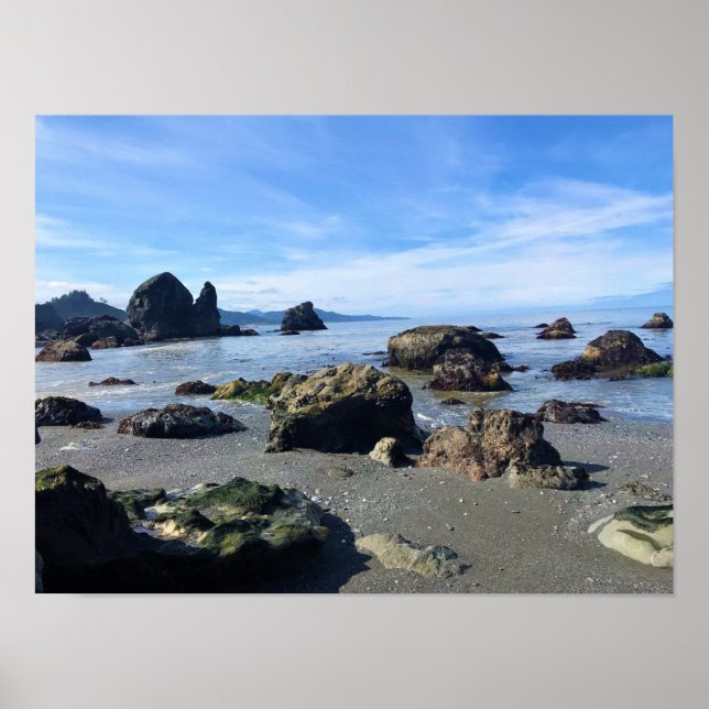 Sisters Rock State Park, Oregon Coast Poster (Front)