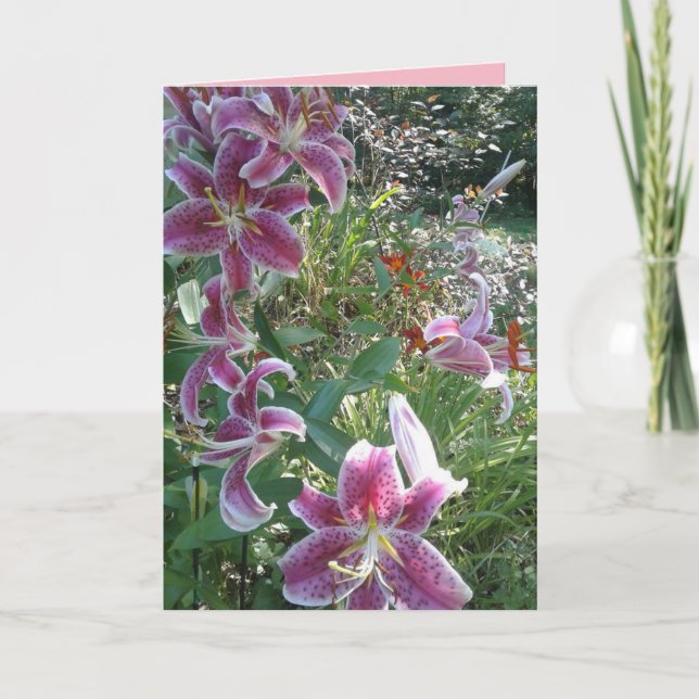 Sister's Stargazer Lilies, Sentimental Card (Front)
