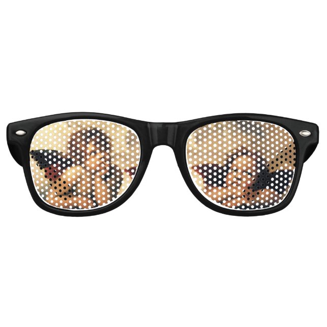 Sistine Madonna Angels by Raphael Sanzio Retro Sunglasses (Front)