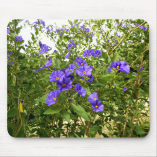 Sisyrinchium Angustifolium Mouse Mat