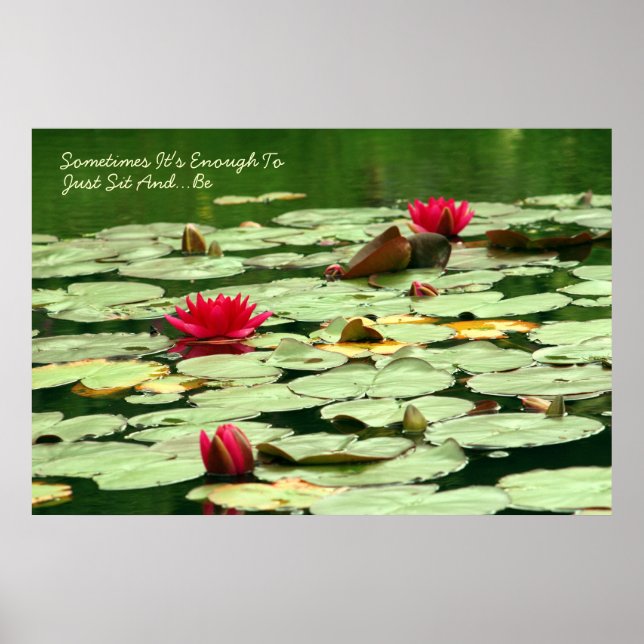Sit and Be Waterlilies Poster (Front)