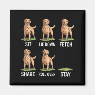 Sit Lie Down Fetch Shake Roll Over Stay Golden Magnet