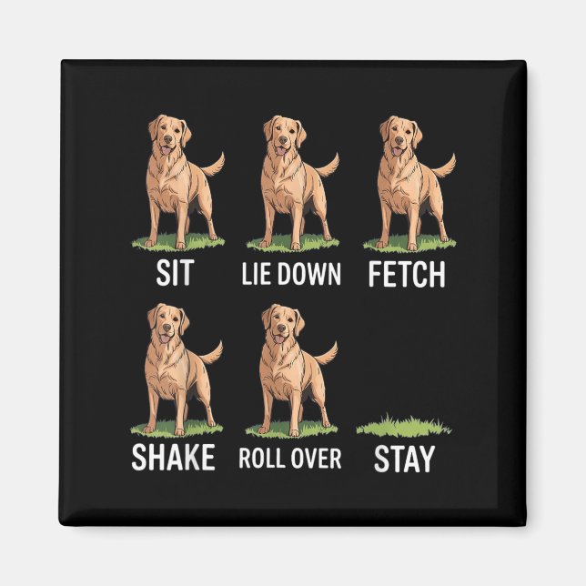 Sit Lie Down Fetch Shake Roll Over Stay Golden Magnet (Front)