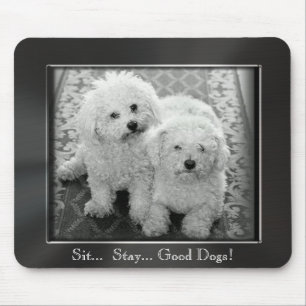 Sit.. Stay.. Good Dogs! Photo Frame Mousepad