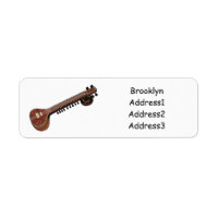 Sitar cartoon illustration