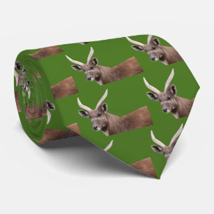 Sitatunga(♂) Tie