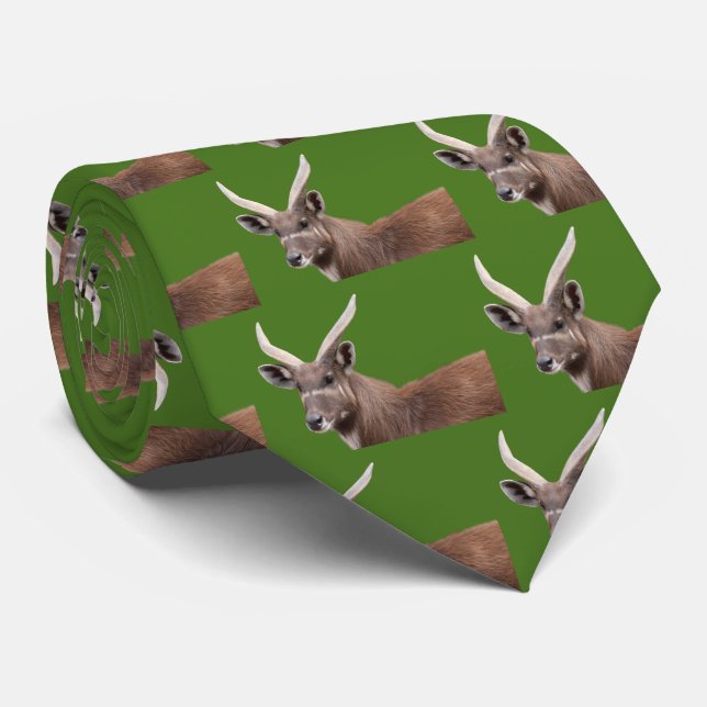 Sitatunga(♂) Tie (Rolled)
