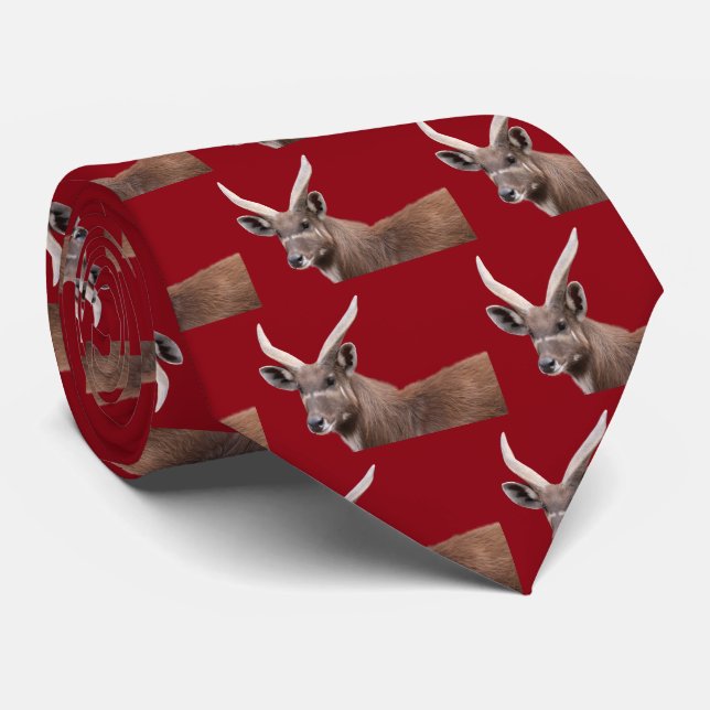 Sitatunga（♂） Tie (Rolled)