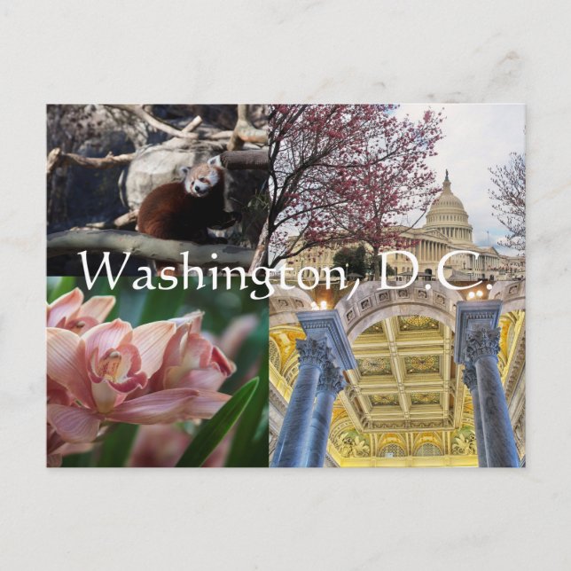 Sites of Washington, D.C. Postcard (Front)