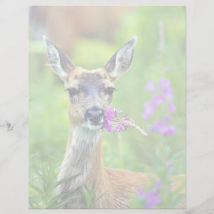 Sitka Black-tailed Deer with Fireweed