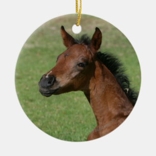 Sitting Arab Foal Ceramic Tree Decoration