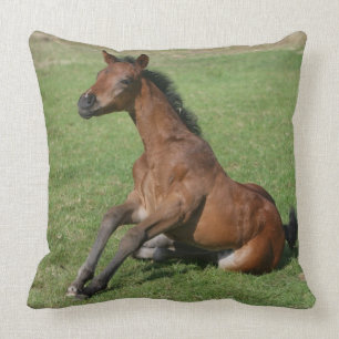 Sitting Arab Foal Cushion