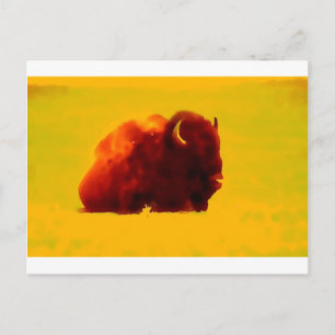 Sitting Bison Postcard