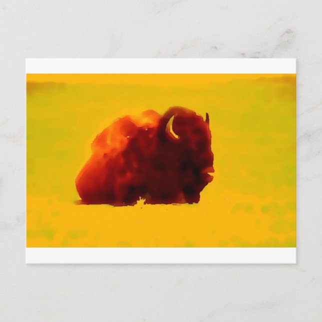 Sitting Bison Postcard (Front)