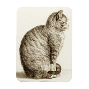Sitting cat black and white pencil drawing magnet