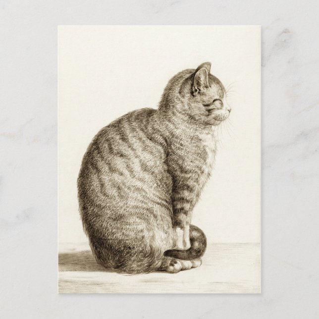 Sitting cat vintage sepia pencil drawing postcard (Front)