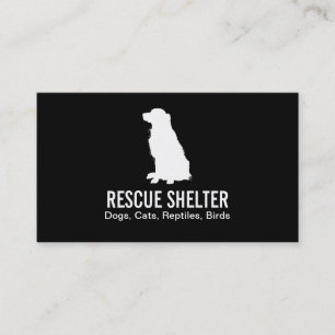 Sitting Dog   Veterinarian Business Card