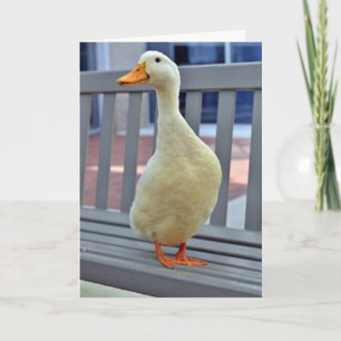"SITTING DUCK" says ***MISSING YOU*** BOO HOO Card