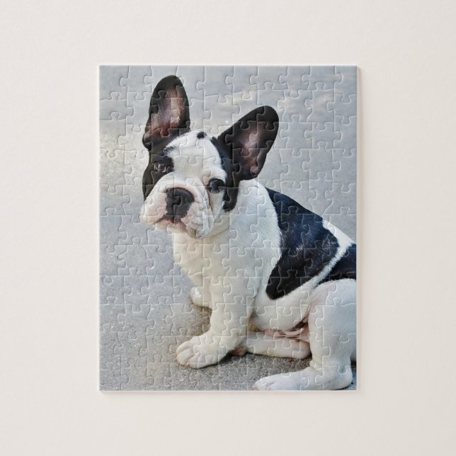 sitting french bulldog jigsaw puzzle (Vertical)