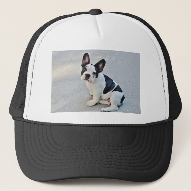 sitting french bulldog trucker hat (Front)