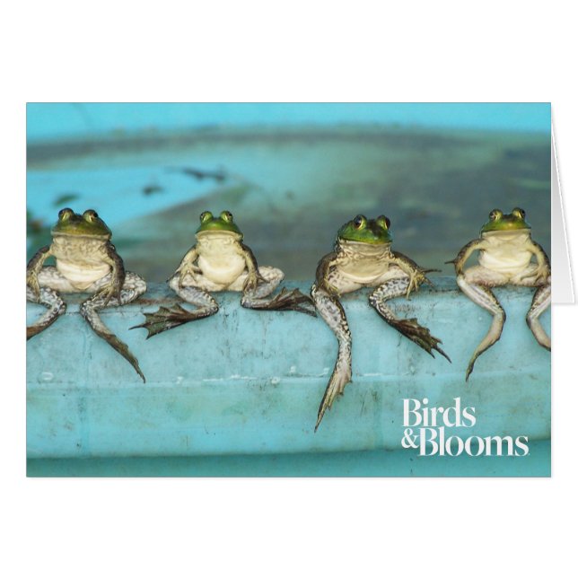 Sitting Frogs (Front Horizontal)