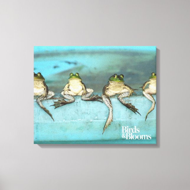 Sitting Frogs Canvas Print (Front)