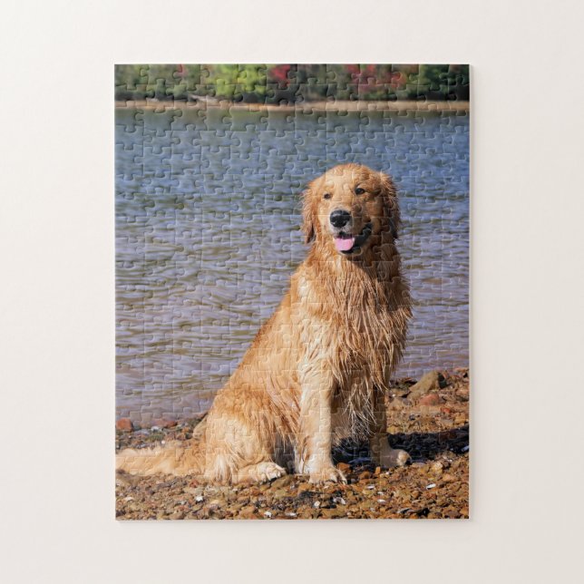 Sitting Golden Retriever Jigsaw Puzzle (Vertical)