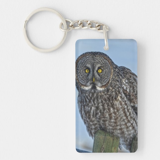 Sitting Great Grey Owl Wildlife Photo Portrait I Key Ring (Front)