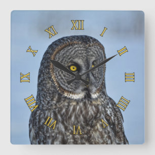 Sitting Great Grey Owl Wildlife Photo Portrait II Square Wall Clock