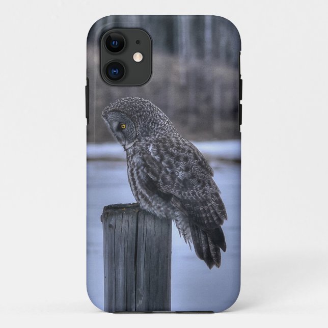 Sitting Great Grey Owl Wildlife Photo Portrait III Case-Mate iPhone Case (Back)