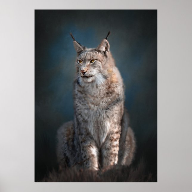 Sitting iberian lynx poster (Front)