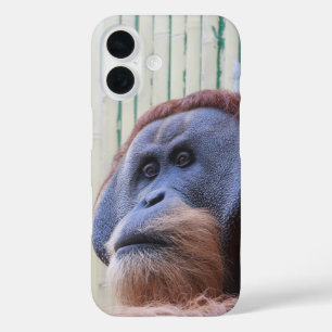 Sitting Orang Utan... iPhone 16 Case