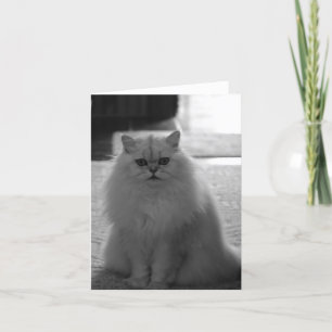 Sitting Pretty Card