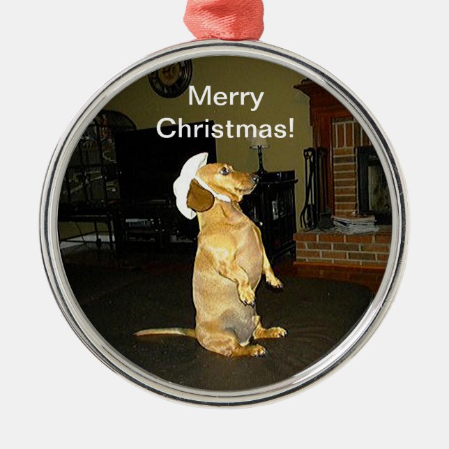 Sitting Pretty Dachshund Christmas Ornament (Front)