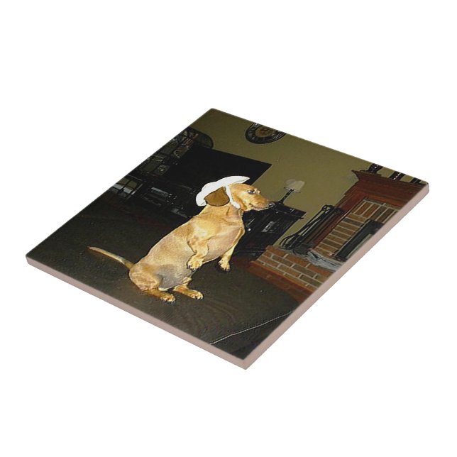 Sitting Pretty Dachshund Tile (Side)