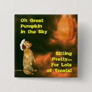Sitting Pretty For Lots of Treats Halloween 15 Cm Square Badge
