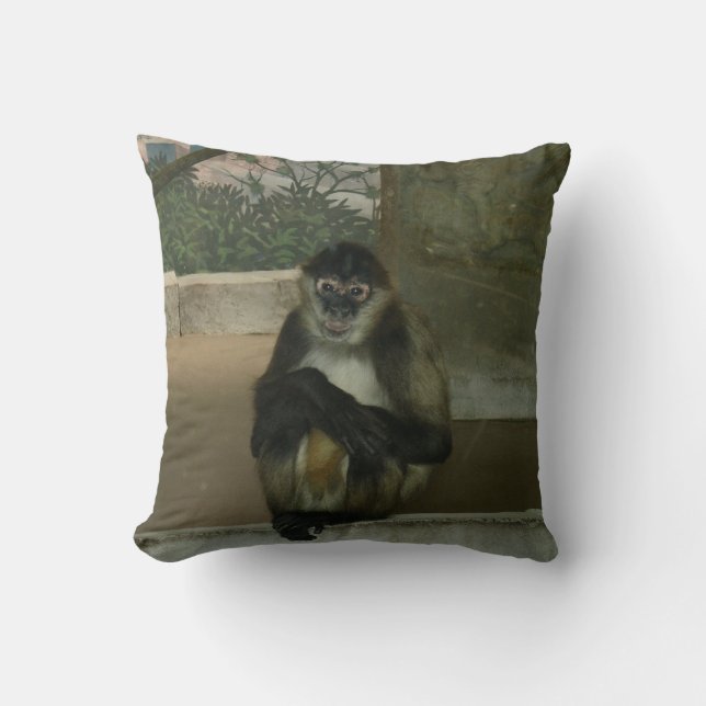 Sitting Pretty Monkey Cushion (Front)