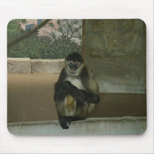 Sitting Pretty Monkey Mouse Pad