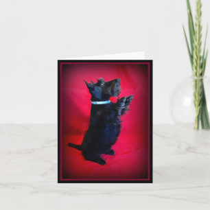 Sitting Pretty Note Card