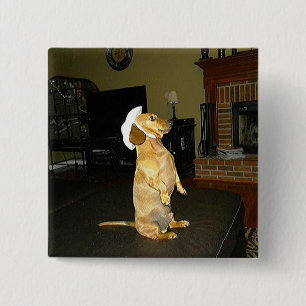 Sitting Pretty or Watching TV Dachshund 15 Cm Square Badge