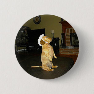 Sitting Pretty or Watching TV Dachshund 6 Cm Round Badge
