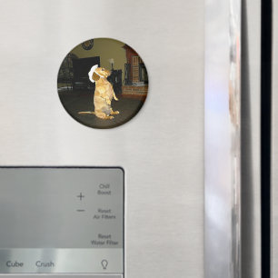 Sitting Pretty or Watching TV Dachshund Magnet