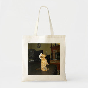 Sitting Pretty or Watching TV Dachshund Tote Bag