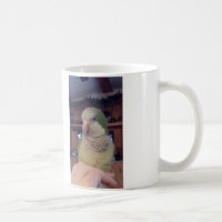 Sitting Pretty Quaker Parrot Mug