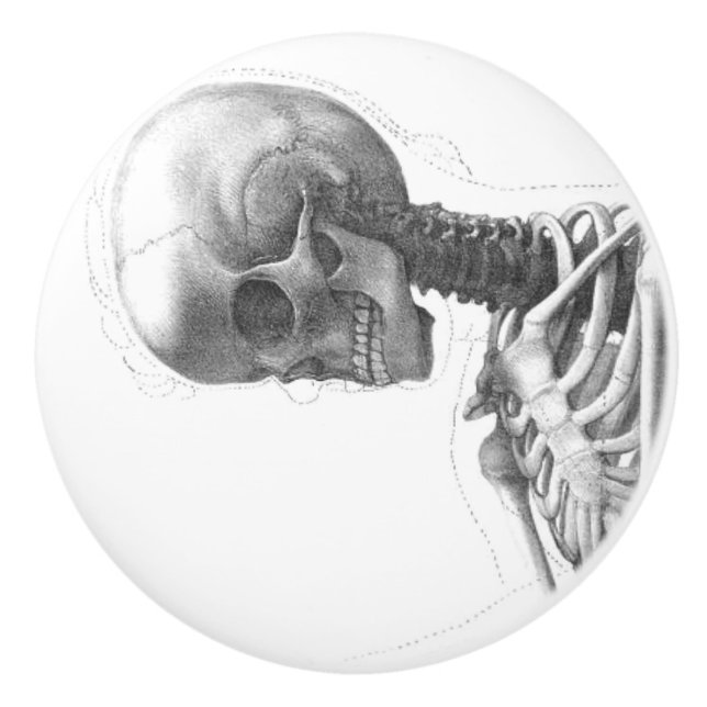 Sitting vintage skeleton thinking knob (Front)