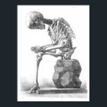 Sitting vintage skeleton thinking print<br><div class="desc">Stylish, intricate vintage illustration of a sitting skeleton from the 19th century, with the full skeleton displayed sitting on a rock, observing it's foot and a faint outline of skin drawn around it. Cleaned up to decorate any item in a stylish and modern way. Add your own text to this...</div>