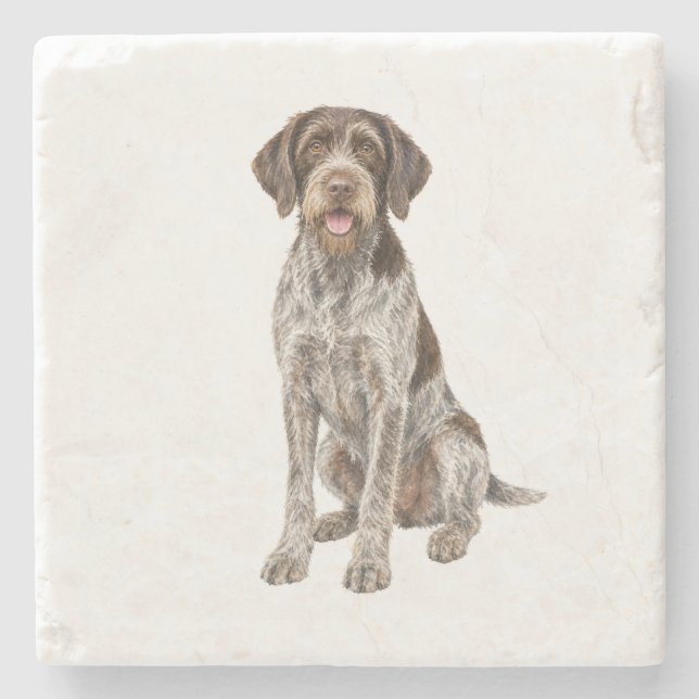 Sitting Wirehaired Pointing Griffon Natural Stone  Coaster (Front)