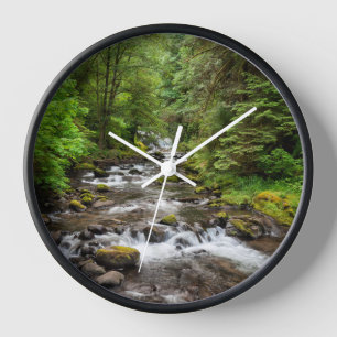 Siuslaw National Forest Sweet Creek Clock