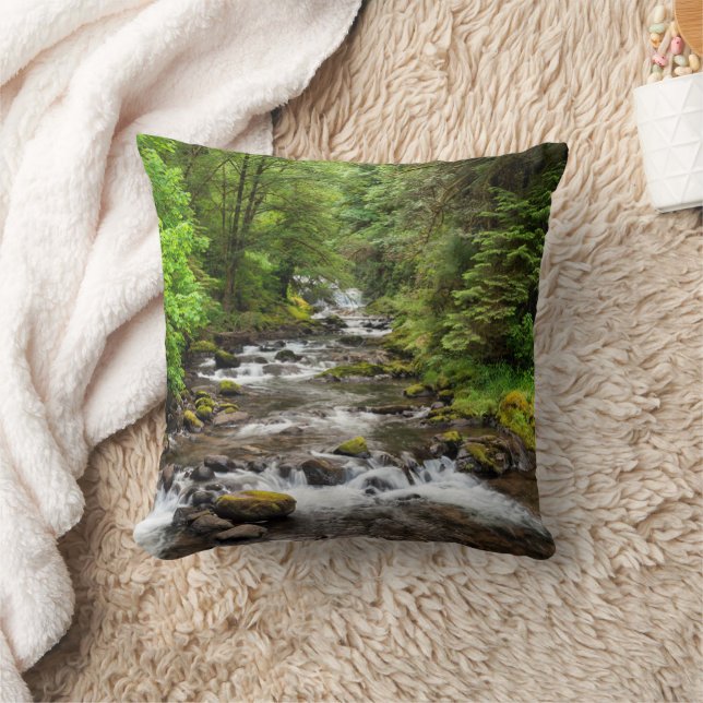 Siuslaw National Forest | Sweet Creek Cushion (Blanket)